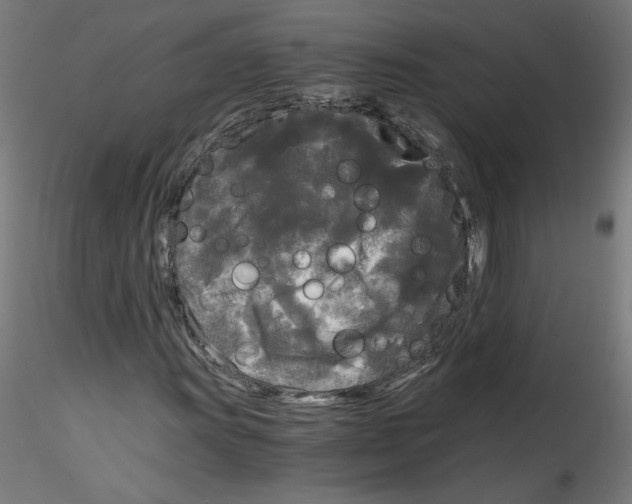 X0000114591011200911301354
