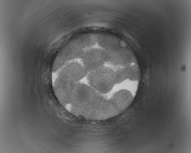 X0000114591014200911301354