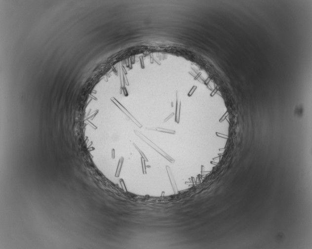 X0000114591016200911301354