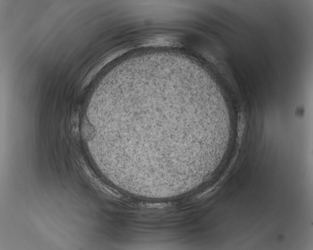 X0000114591017200911301354