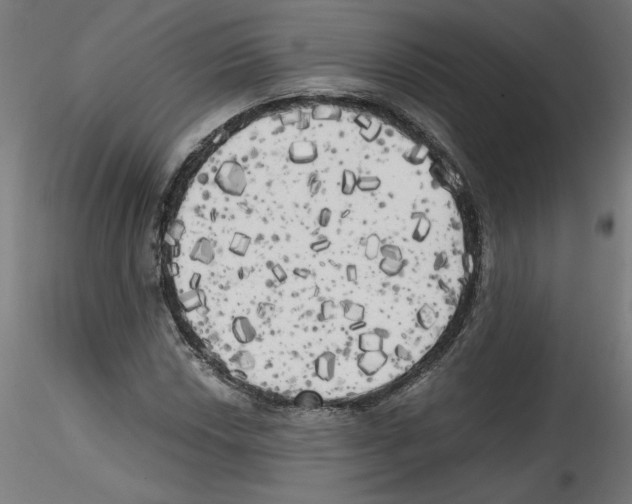 X0000114591018200911301354