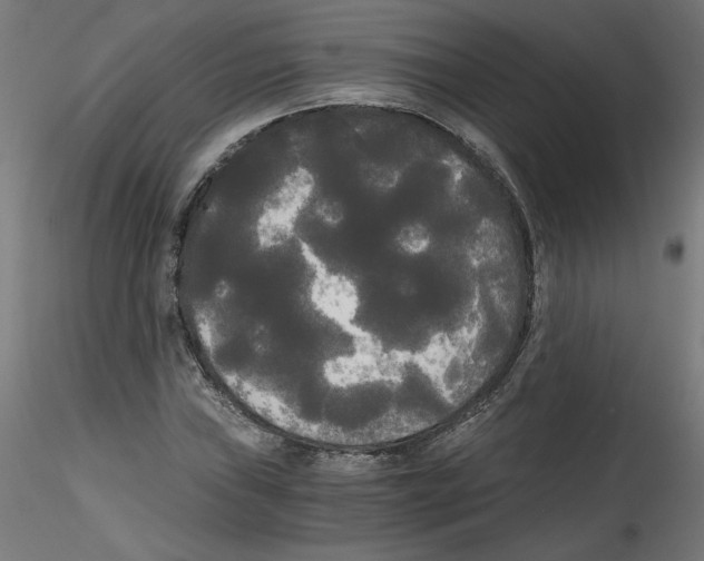 X0000114591019200911301354