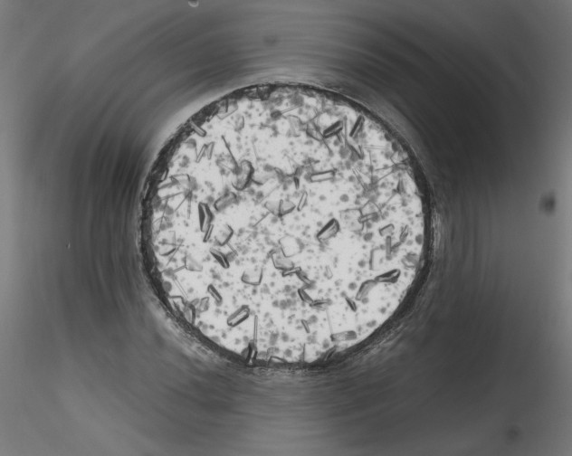 X0000114591020200911301354