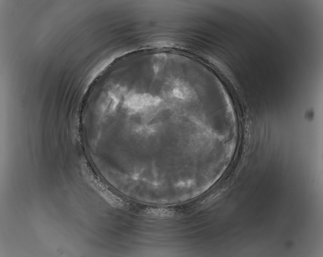 X0000114591023200911301354