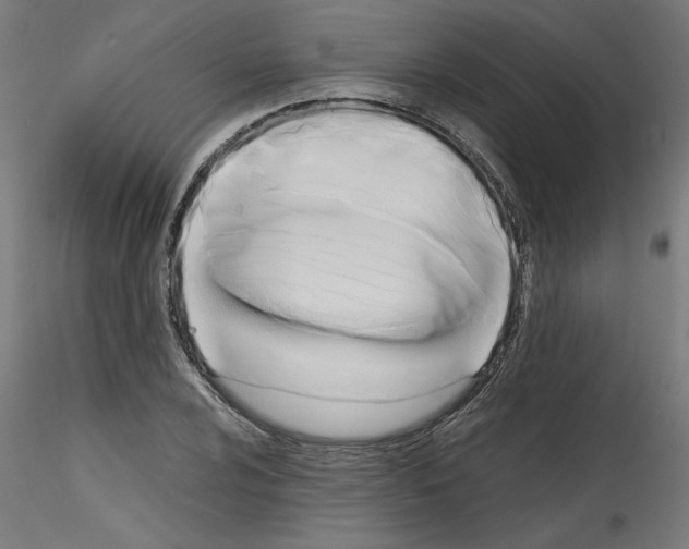 X0000114591024200911301354