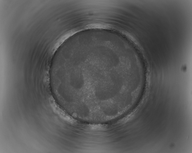 X0000114591025200911301354