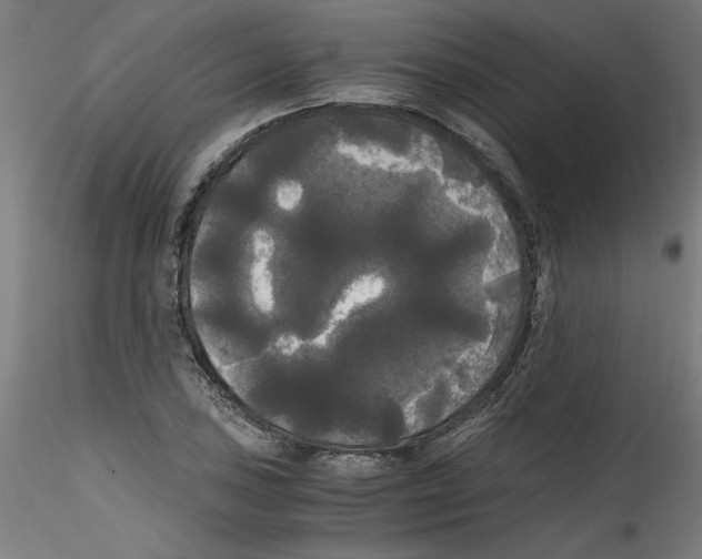 X0000114591027200911301354