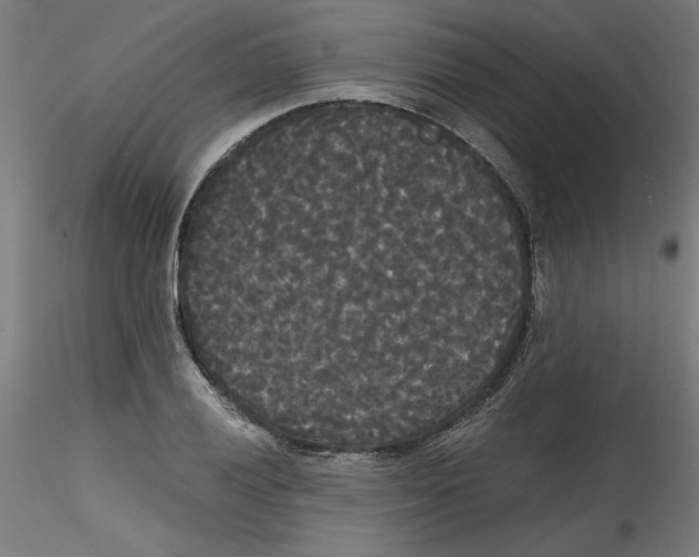 X0000114591028200911301354