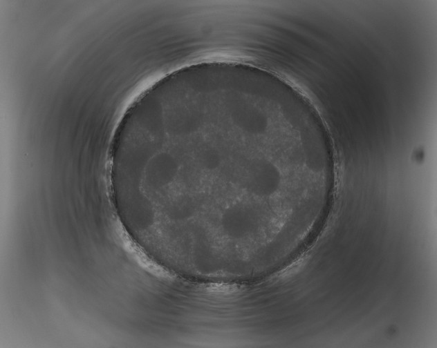 X0000114591029200911301354