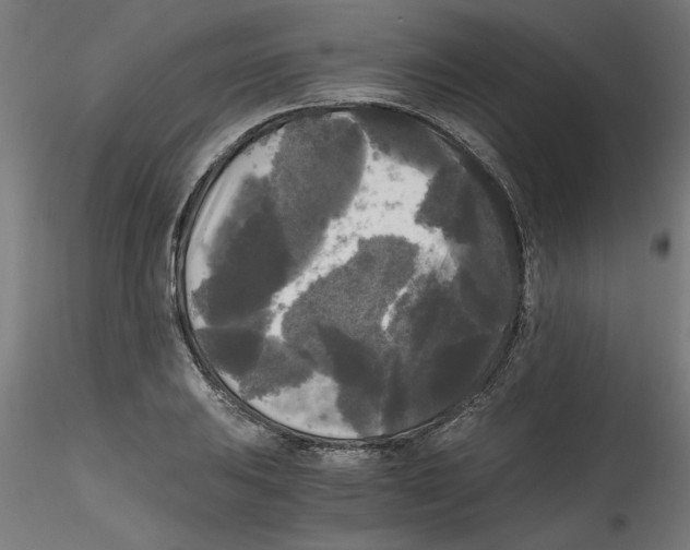 X0000114591031200911301354