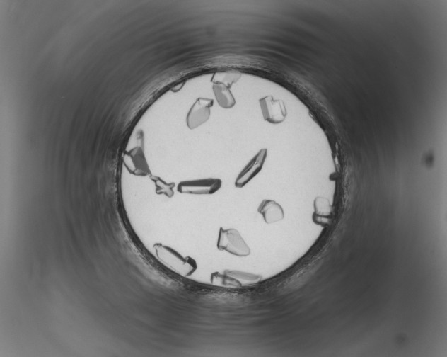 X0000114591033200911301354