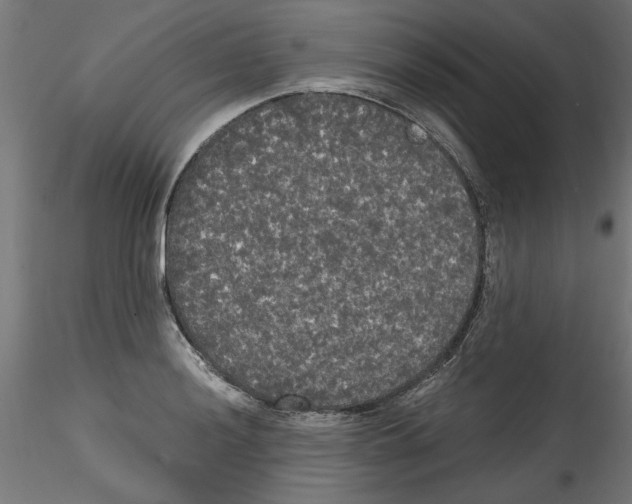 X0000114591036200911301355