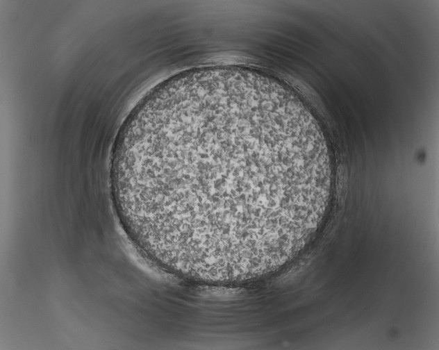 X0000114591039200911301355