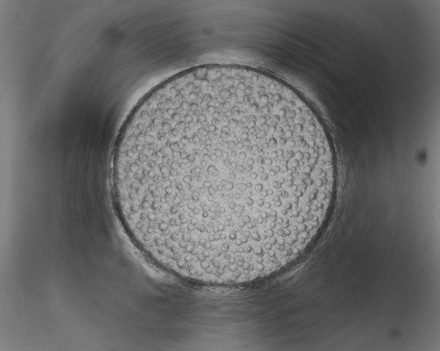 X0000114591040200911301355
