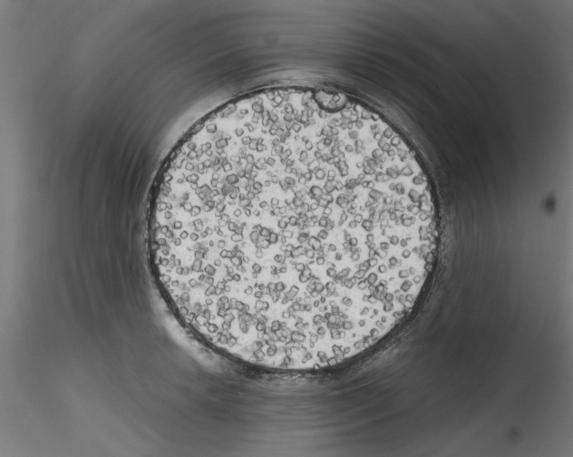 X0000114591042200911301355