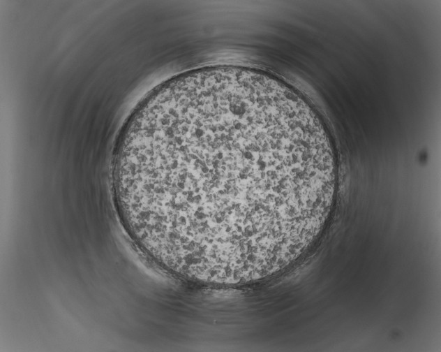 X0000114591043200911301355