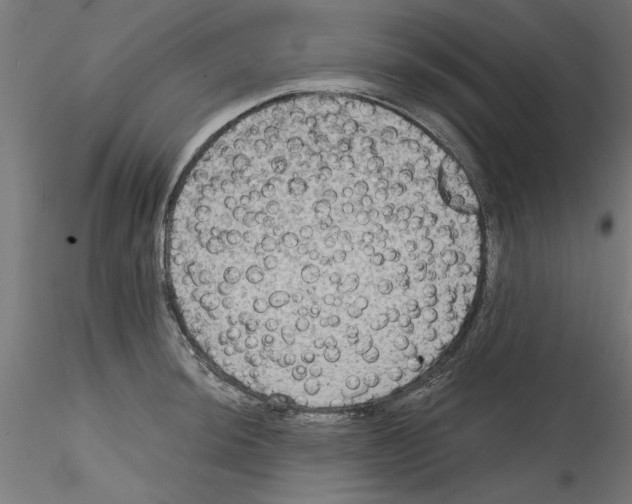 X0000114591044200911301355