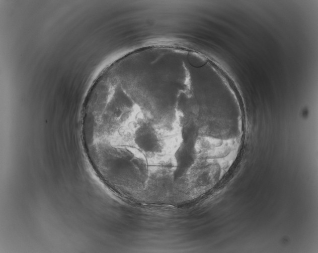 X0000114591045200911301355