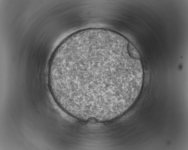 X0000114591046200911301355
