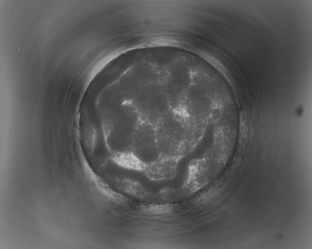 X0000114591047200911301355