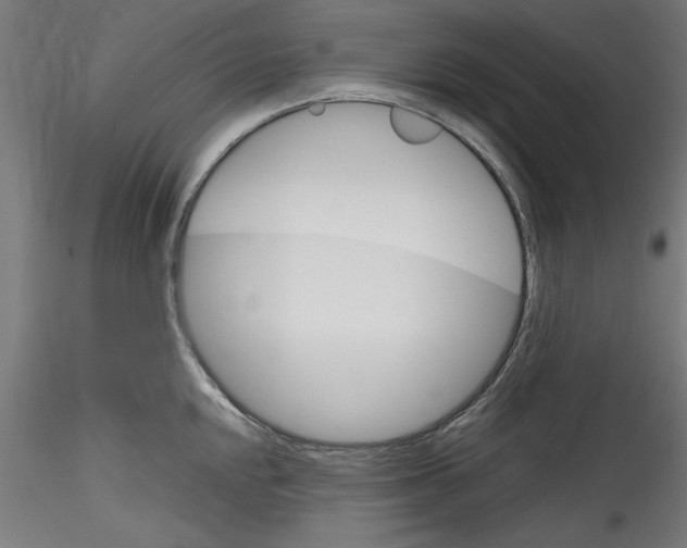 X0000114591048200911301355
