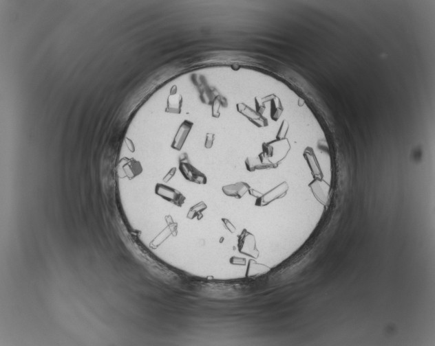 X0000114591049200911301355