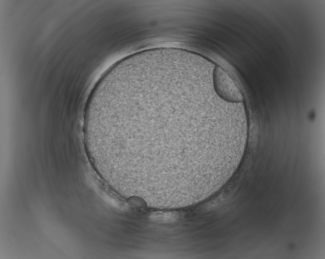 X0000114591051200911301355