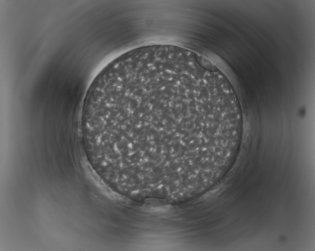 X0000114591052200911301355