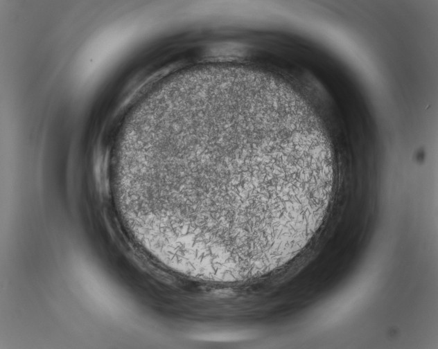 X0000114591054200911301355