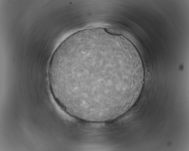 X0000114591055200911301355