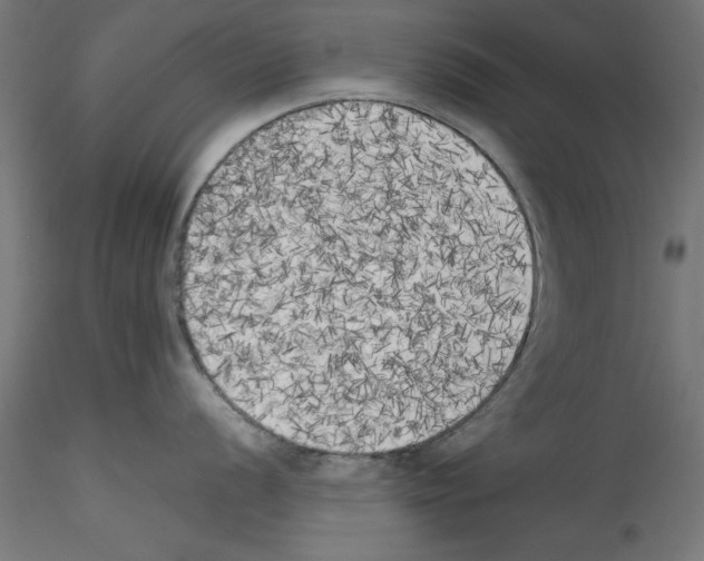 X0000114591056200911301355