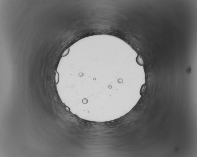 X0000114591057200911301354