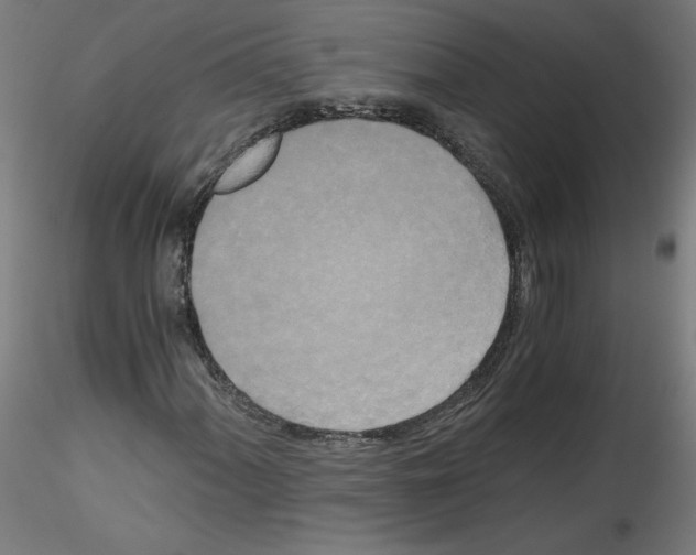 X0000114591060200911301354