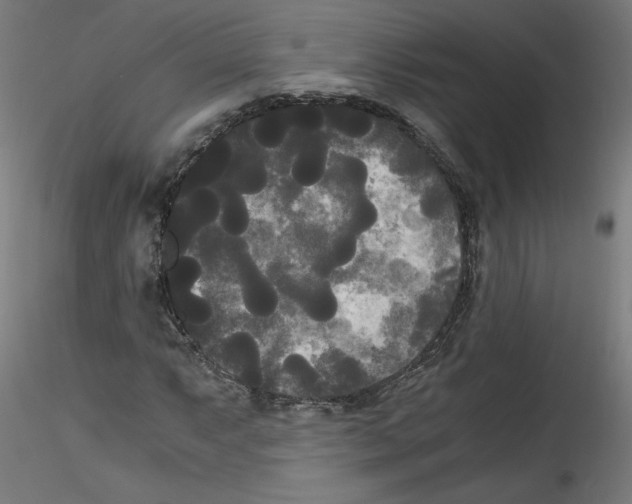 X0000114591063200911301354