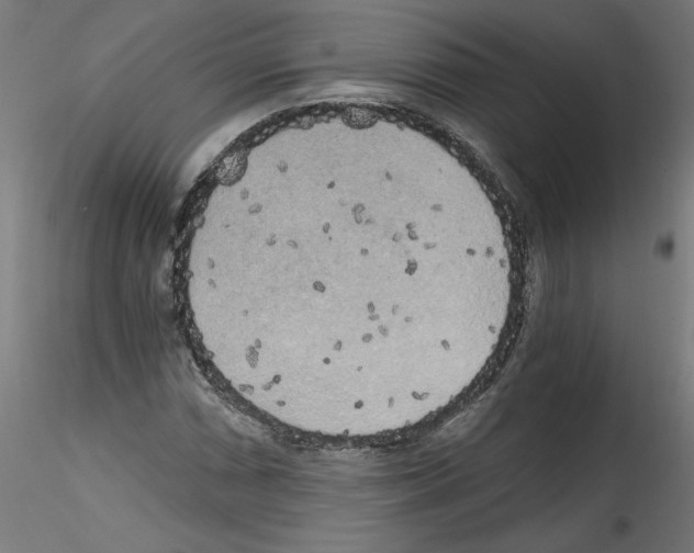 X0000114591066200911301354