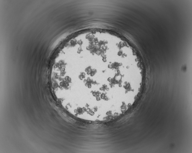 X0000114591067200911301354