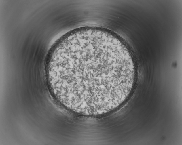X0000114591070200911301354