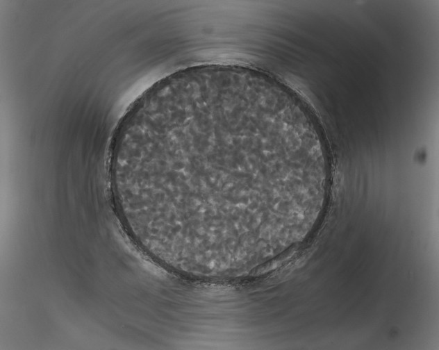 X0000114591071200911301354