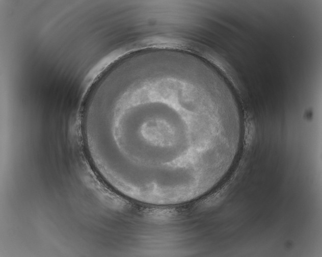 X0000114591074200911301354