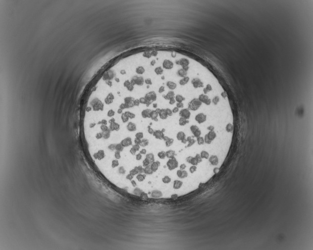 X0000114591075200911301354