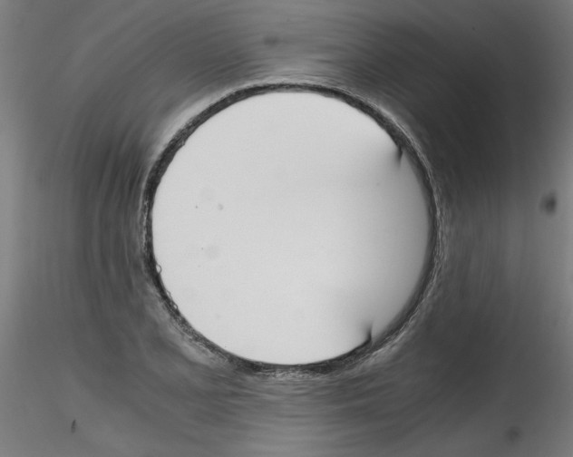 X0000114591077200911301354