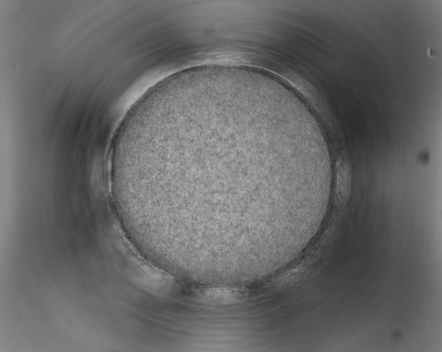 X0000114591078200911301354