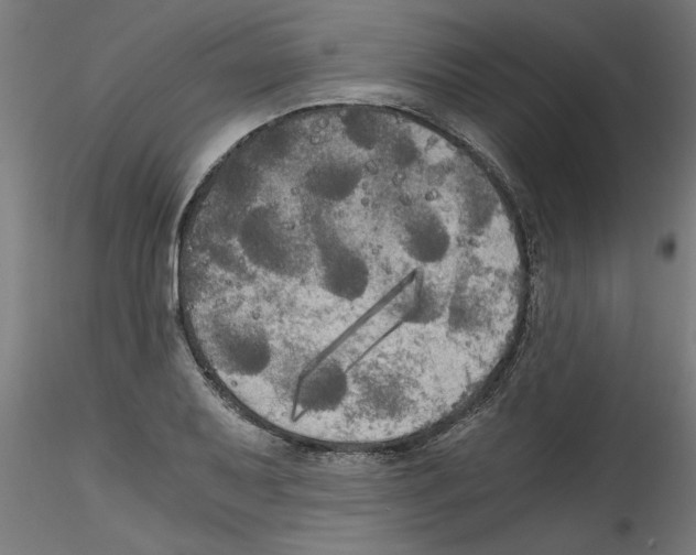 X0000114591079200911301354