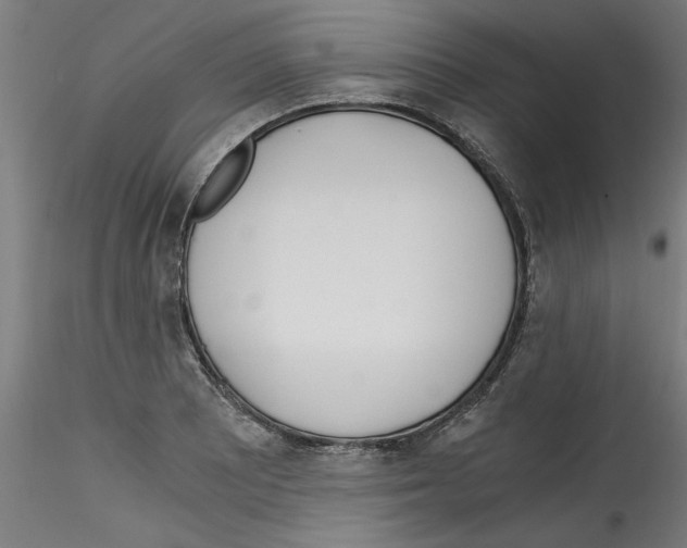 X0000114591081200911301354