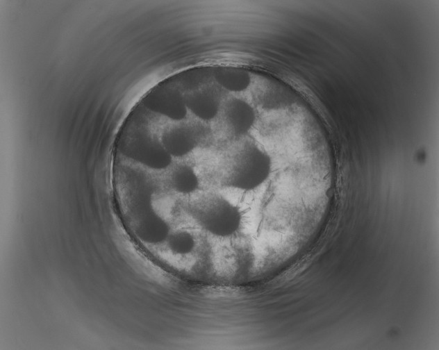 X0000114591083200911301354