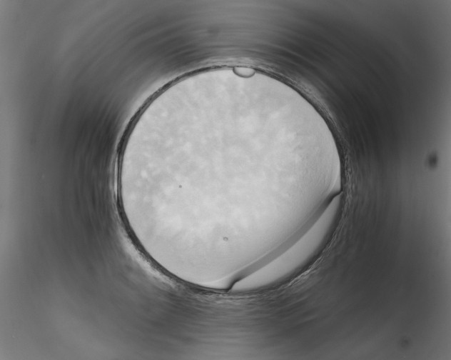 X0000114591084200911301354