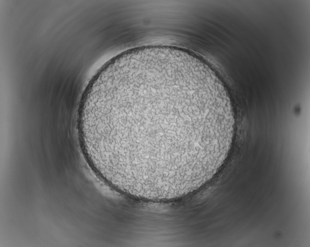 X0000114591086200911301354