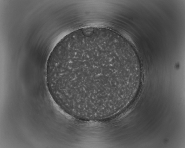 X0000114591087200911301354
