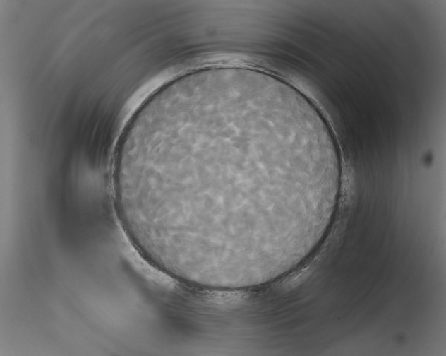 X0000114591090200911301354