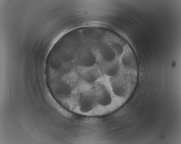 X0000114591091200911301354